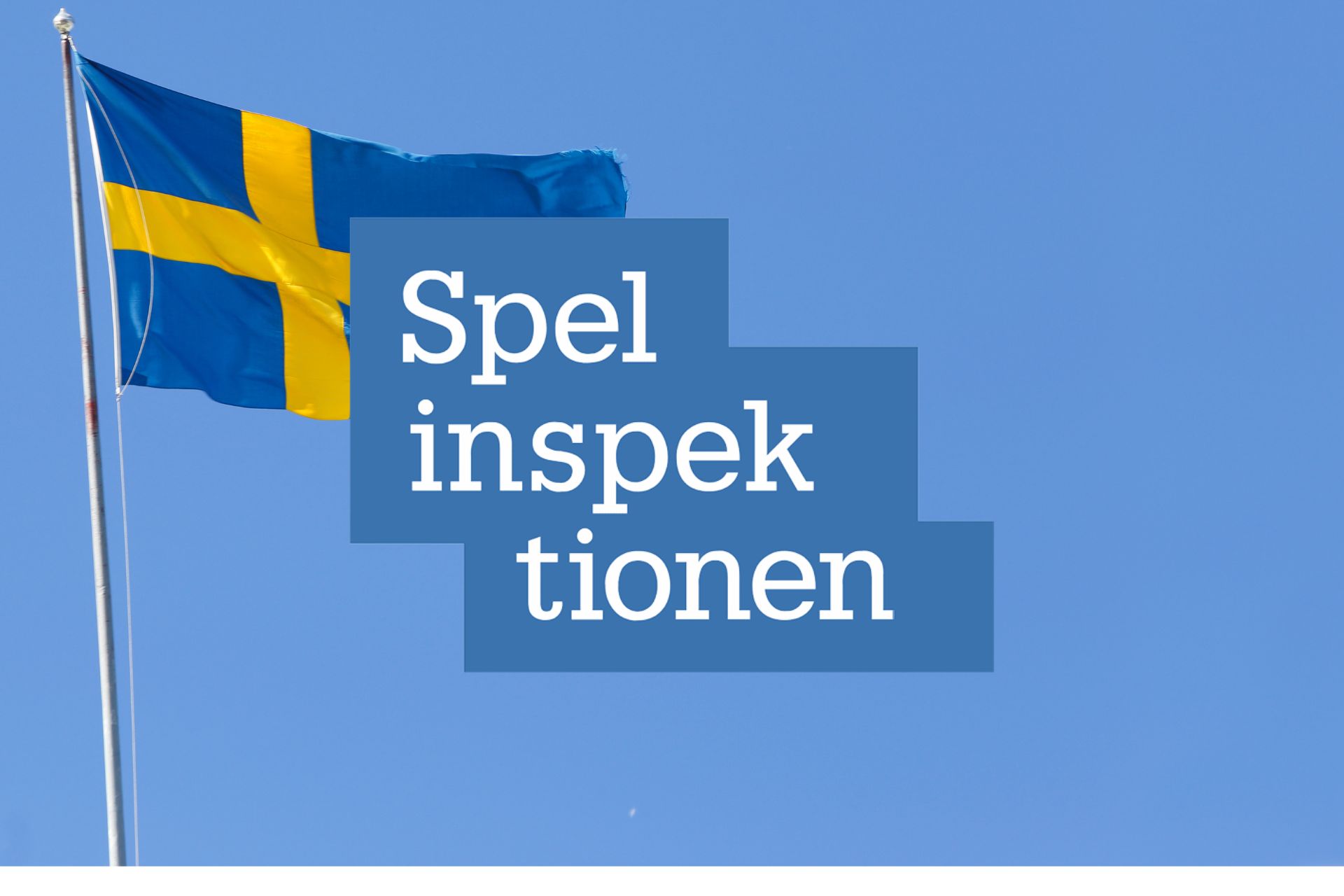 Swedish Authority Bans Versus Odds B.V. from Offering Gambling Services Without License Swedish Gaming Authority logo