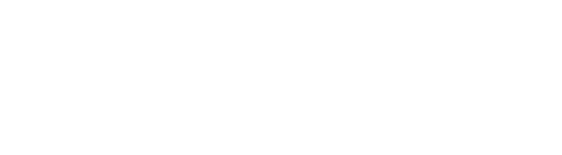 The Business of iGaming logo
